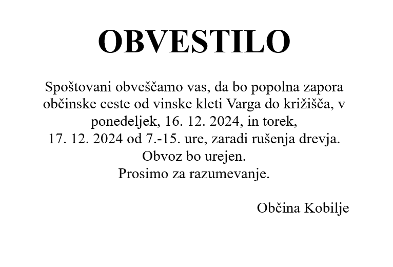 Posnetek zaslona 2024-12-13 115339